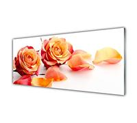 Tulup Glass Splashback for Kitchen - 49.2 in x 19.7 in / 125x50 cm - Cooker Wall Protection Tempered Glass - Roses Floral