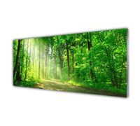Tulup Glass Splashback for Kitchen - 49.2 in x 19.7 in / 125x50 cm - Cooker Wall Protection Tempered Glass - Forest Nature