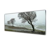 Tulup Glass Splashback for Kitchen - 49.2 in x 19.7 in / 125x50 cm - Cooker Wall Protection Tempered Glass - Trees Nature