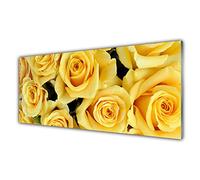Tulup Glass Splashback for Kitchen - 49.2 in x 19.7 in / 125x50 cm - Cooker Wall Protection Tempered Glass - Roses Floral