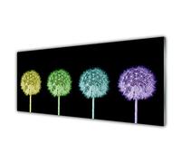 Tulup Glass Splashback for Kitchen - 49.2 in x 19.7 in / 125x50 cm - Cooker Wall Protection Tempered Glass - Dandelion Floral