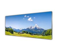 Tulup Glass Splashback for Kitchen - 49.2 in x 19.7 in / 125x50 cm - Cooker Wall Protection Tempered Glass - Fields Trees Mountains Landscape