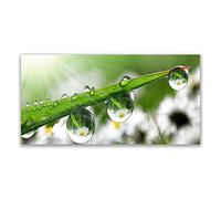 Tulup Glass Splashback for Kitchen - 55.1 in x 27.6 in / 140x70 cm - Cooker Wall Protection Tempered Glass - Grass Dew Drops Nature