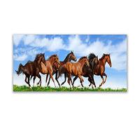 Tulup Glass Splashback for Kitchen - 55.1 in x 27.6 in / 140x70 cm - Cooker Wall Protection Tempered Glass - Horses Animals