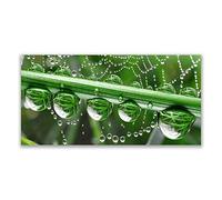 Tulup Glass Splashback for Kitchen - 55.1 in x 27.6 in / 140x70 cm - Cooker Wall Protection Tempered Glass - Spider Web Dewdrops Floral