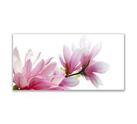 Tulup Glass Splashback for Kitchen - 55.1 in x 27.6 in / 140x70 cm - Cooker Wall Protection Tempered Glass - Magnolia Blossoms Floral