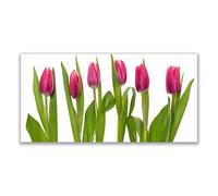 Tulup Glass Splashback for Kitchen - 55.1 in x 27.6 in / 140x70 cm - Cooker Wall Protection Tempered Glass - Tulips Floral