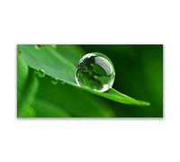 Tulup Glass Splashback for Kitchen - 55.1 in x 27.6 in / 140x70 cm - Cooker Wall Protection Tempered Glass - Leaf Water Droplets Floral