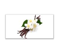 Tulup Glass Splashback for Kitchen - 55.1 in x 27.6 in / 140x70 cm - Cooker Wall Protection Tempered Glass - Vanilla Floral