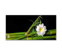 Tulup Glass Splashback for Kitchen - 55.1 in x 27.6 in / 140x70 cm - Cooker Wall Protection Tempered Glass - Bamboo Flower Floral