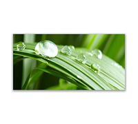 Tulup Glass Splashback for Kitchen - 55.1 in x 27.6 in / 140x70 cm - Cooker Wall Protection Tempered Glass - Leaf Dew Drops Floral