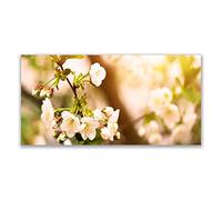 Tulup Glass Splashback for Kitchen - 55.1 in x 27.6 in / 140x70 cm - Cooker Wall Protection Tempered Glass - Flowers Floral