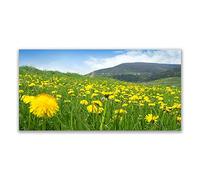 Tulup Glass Splashback for Kitchen - 55.1 in x 27.6 in / 140x70 cm - Cooker Wall Protection Tempered Glass - Dandelion Field Nature