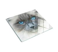 Tulup Glass Worktop Saver Splashback Chopping Board 60x52cm - Cat Blue eyes