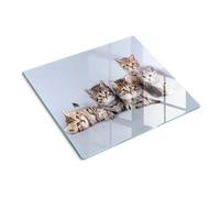 Tulup Glass Worktop Saver Splashback Chopping Board 60x52cm - Five cats