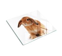 Tulup Glass Worktop Saver Splashback Chopping Board 60x52cm - Red rabbit