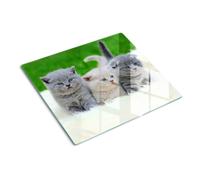 Tulup Glass Worktop Saver Splashback Chopping Board 60x52cm - Three Cats Blanket