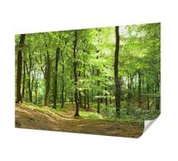 Tulup Self-Adhesive Wallcovering 152x104 cm Easy to Clean Wall Installation Home Decoration Photographic Design Sticky Back for The Living Room, Bedroom, and Hallway - Camino Natural