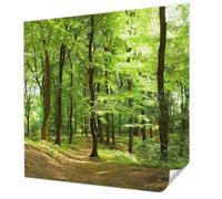 Tulup Self-Adhesive Wallcovering 250x250 cm Easy to Clean Wall Installation Home Decoration Photographic Design Sticky Back for The Living Room, Bedroom, and Hallway - Camino Natural