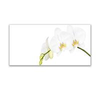 Tulup Splashback - 140x70cm Backsplash Cooker Hob Wall Splashback - Kitchen Wall Panels - Heat Resistant - Toughened/Tempered Safety Real Glass - Flowers Floral
