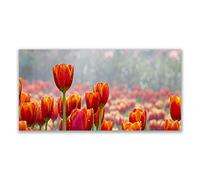 Tulup Splashback - 140x70cm Backsplash Cooker Hob Wall Splashback - Kitchen Wall Panels - Heat Resistant - Toughened/Tempered Safety Real Glass - Tulips Floral