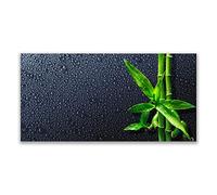 Tulup Splashback - 140x70cm Backsplash Cooker Hob Wall Splashback - Kitchen Wall Panels - Heat Resistant - Toughened/Tempered Safety Real Glass - Bamboo Stalks Floral
