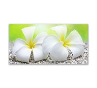 Tulup Splashback - 140x70cm Backsplash Cooker Hob Wall Splashback - Kitchen Wall Panels - Heat Resistant - Toughened/Tempered Safety Real Glass - Flowers Floral