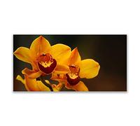 Tulup Splashback - 140x70cm Backsplash Cooker Hob Wall Splashback - Kitchen Wall Panels - Heat Resistant - Toughened/Tempered Safety Real Glass - Flowers Floral