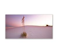 Tulup Splashback - 140x70cm Backsplash Cooker Hob Wall Splashback - Kitchen Wall Panels - Heat Resistant - Toughened/Tempered Safety Real Glass - Desert Landscape