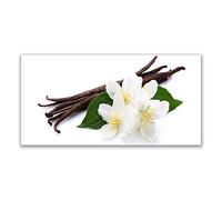 Tulup Splashback - 140x70cm Backsplash Cooker Hob Wall Splashback - Kitchen Wall Panels - Heat Resistant - Toughened/Tempered Safety Real Glass - Vanilla Floral