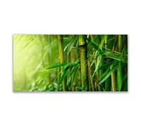Tulup Splashback - 140x70cm Backsplash Cooker Hob Wall Splashback - Kitchen Wall Panels - Heat Resistant - Toughened/Tempered Safety Real Glass - Bamboo Stalks Floral