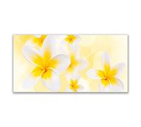 Tulup Splashback - 140x70cm Backsplash Cooker Hob Wall Splashback - Kitchen Wall Panels - Heat Resistant - Toughened/Tempered Safety Real Glass - Flowers Floral