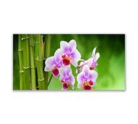 Tulup Splashback - 140x70cm Backsplash Cooker Hob Wall Splashback - Kitchen Wall Panels - Heat Resistant - Toughened/Tempered Safety Real Glass - Bamboo Tube Flowers Floral