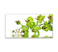 Tulup Splashback - 140x70cm Backsplash Cooker Hob Wall Splashback - Kitchen Wall Panels - Heat Resistant - Toughened/Tempered Safety Real Glass - Flowers Floral