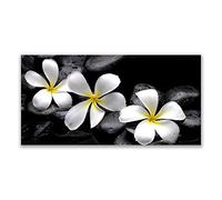 Tulup Splashback - 140x70cm Backsplash Cooker Hob Wall Splashback - Kitchen Wall Panels - Heat Resistant - Toughened/Tempered Safety Real Glass - Flower Stones Floral