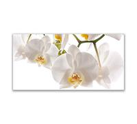Tulup Splashback - 140x70cm Backsplash Cooker Hob Wall Splashback - Kitchen Wall Panels - Heat Resistant - Toughened/Tempered Safety Real Glass - Flowers Floral