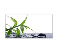 Tulup Splashback - 140x70cm Backsplash Cooker Hob Wall Splashback - Kitchen Wall Panels - Heat Resistant - Toughened/Tempered Safety Real Glass - Leaf Floral