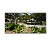 Tulup Splashback - 140x70cm Backsplash Cooker Hob Wall Splashback - Kitchen Wall Panels - Heat Resistant - Toughened/Tempered Safety Real Glass - Leaves Palm Trees Nature