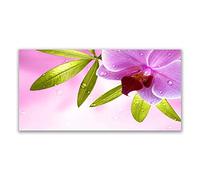 Tulup Splashback - 140x70cm Backsplash Cooker Hob Wall Splashback - Kitchen Wall Panels - Heat Resistant - Toughened/Tempered Safety Real Glass - Flower Leaves Floral