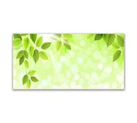 Tulup Splashback - 140x70cm Backsplash Cooker Hob Wall Splashback - Kitchen Wall Panels - Heat Resistant - Toughened/Tempered Safety Real Glass - Leaves Floral