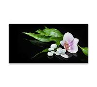 Tulup Splashback - 140x70cm Backsplash Cooker Hob Wall Splashback - Kitchen Wall Panels - Heat Resistant - Toughened/Tempered Safety Real Glass - Flower Stones Leaves Floral