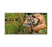 Tulup Splashback - 140x70cm Backsplash Cooker Hob Wall Splashback - Kitchen Wall Panels - Heat Resistant - Toughened/Tempered Safety Real Glass - Tiger Animals
