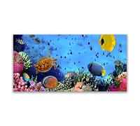 Tulup Splashback - 140x70cm Backsplash Cooker Hob Wall Splashback - Kitchen Wall Panels - Heat Resistant - Toughened/Tempered Safety Real Glass - Coral Reef Nature
