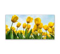 Tulup Splashback - 140x70cm Backsplash Cooker Hob Wall Splashback - Kitchen Wall Panels - Heat Resistant - Toughened/Tempered Safety Real Glass - Tulips Floral