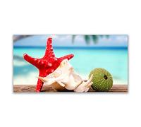 Tulup Splashback - 140x70cm Backsplash Cooker Hob Wall Splashback - Kitchen Wall Panels - Heat Resistant - Toughened/Tempered Safety Real Glass - Seashell Shellfish Art