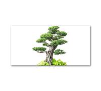 Tulup Splashback 39.37x19.68 inch / 100x50cm Glass Panel Tempered Glass Kitchen Panel Splash-back Kitchen Protection Induction Cooker Wall Protection Toughened Safe Glass - Green - Bonsai Tree