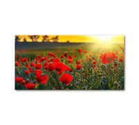 Tulup Splashback 39.37x19.68 inch / 100x50cm Glass Panel Tempered Glass Kitchen Panel Splash-back Kitchen Protection Induction Cooker Wall Protection Toughened Safe Glass - Red - poppy field