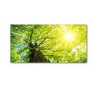 Tulup Splashback 39.37x19.68 inch / 100x50cm Glass Panel Wall Protection Induction Cooker Tempered Glass Toughened Safe Glass Kitchen Panel Splash-back Kitchen - Green - chestnut tree