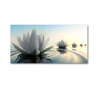 Tulup Splashback 39.37x19.68 inch / 100x50cm Splash-back Kitchen Panel Toughened Safe Glass Tempered Glass Kitchen Protection Induction Cooker Wall Protection Glass Panel - White - lotus flower
