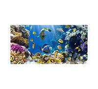 Tulup Splashback 39.37x19.68 inch / 100x50cm Splash-Back Kitchen Panel Toughened Safe Glass Tempered Glass Kitchen Protection Induction Cooker Wall Protection Glass Panel - Multicolored - Coral Reef